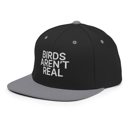 Birds Aren't Real Embroidered Flat Bill Brim Snapback Hat Black Silver