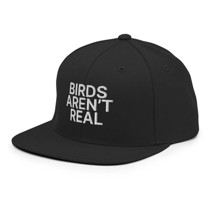 Birds Aren't Real Embroidered Flat Bill Brim Snapback Hat Black