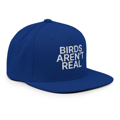 Birds Aren't Real Embroidered Flat Bill Brim Snapback Hat Royal Blue