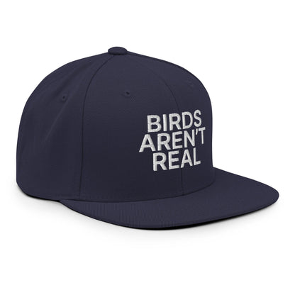 Birds Aren't Real Embroidered Flat Bill Brim Snapback Hat Navy