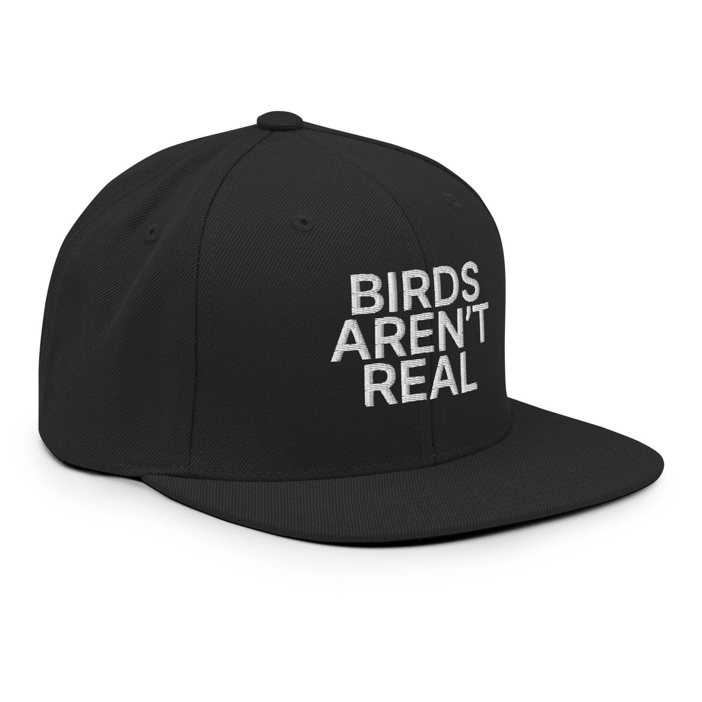 Birds Aren't Real Embroidered Flat Bill Brim Snapback Hat Black