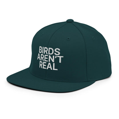 Birds Aren't Real Embroidered Flat Bill Brim Snapback Hat Spruce