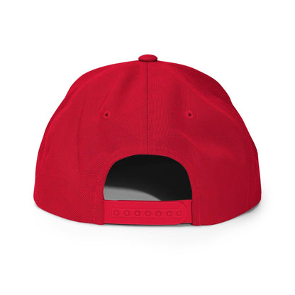 Birds Aren't Real Embroidered Flat Bill Brim Snapback Hat Red