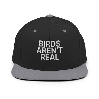 Birds Aren't Real Embroidered Flat Bill Brim Snapback Hat Black Silver