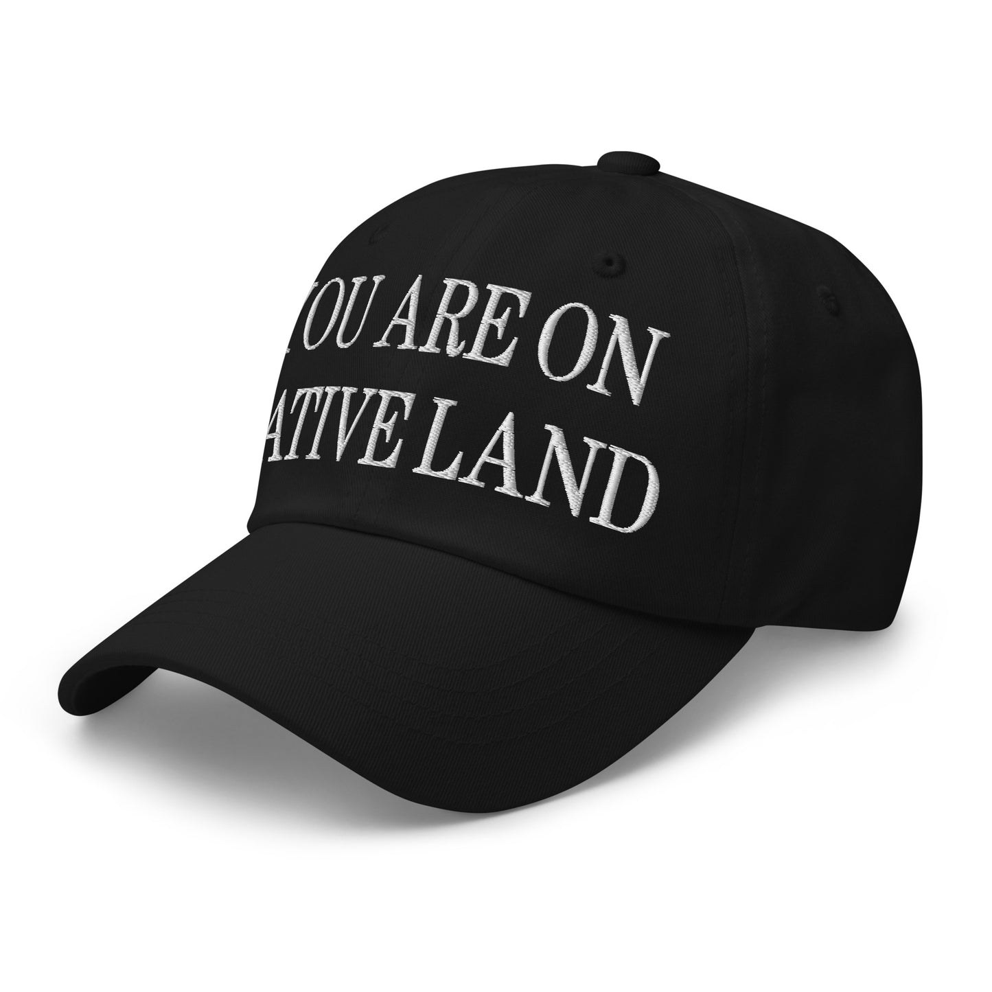 You Are On Native Land Embroidered Dad Hat Black