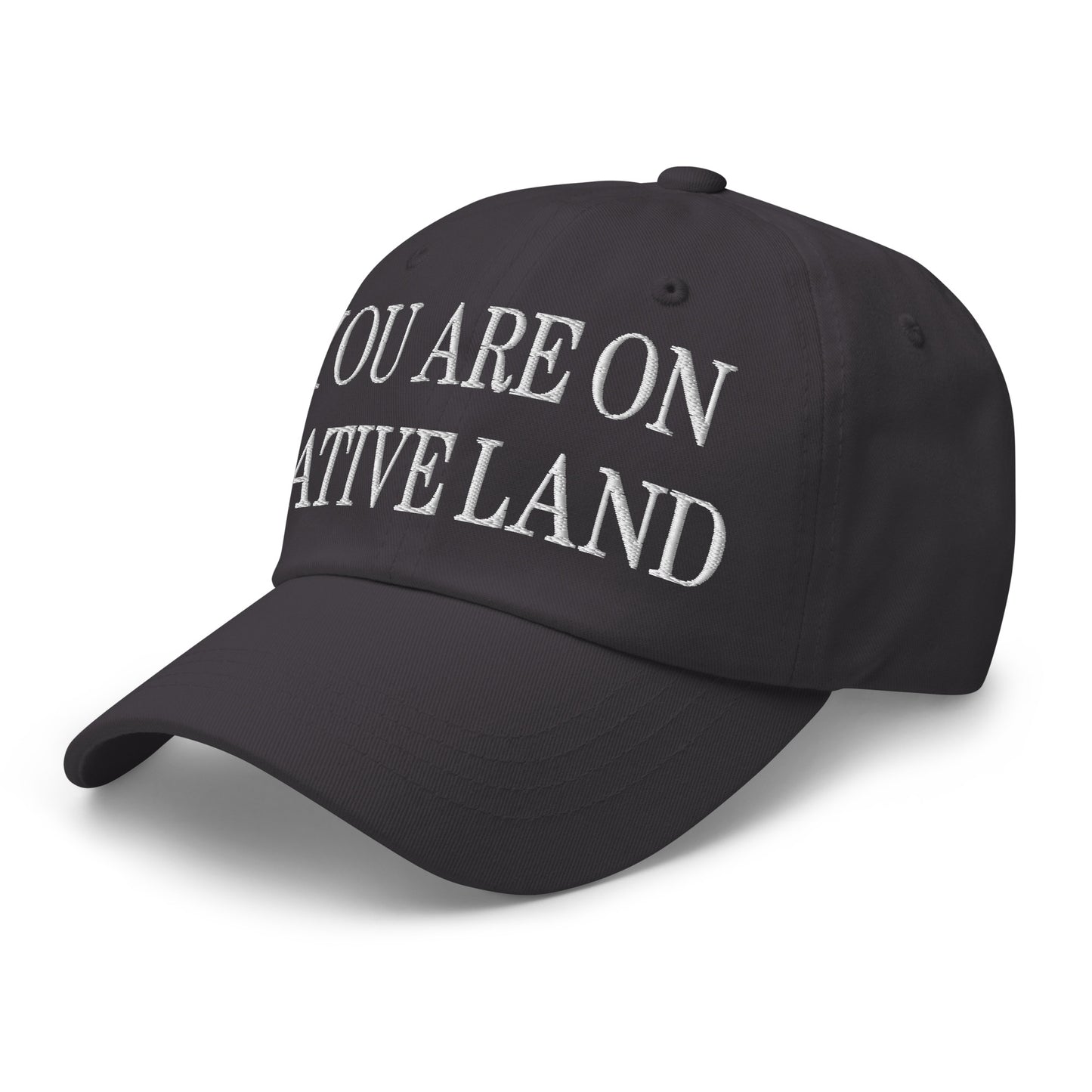 You Are On Native Land Embroidered Dad Hat Dark Grey