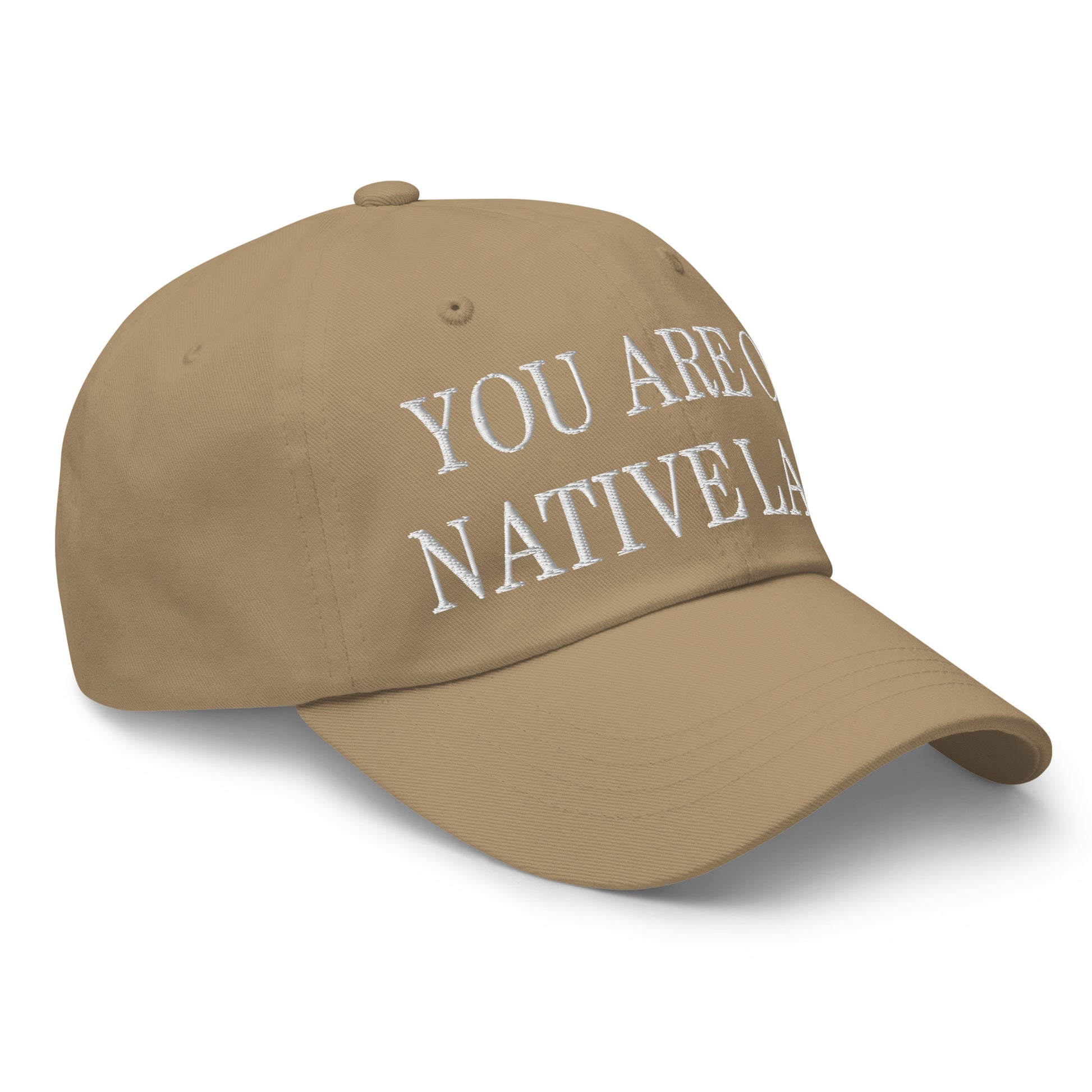 You Are On Native Land Embroidered Dad Hat Khaki