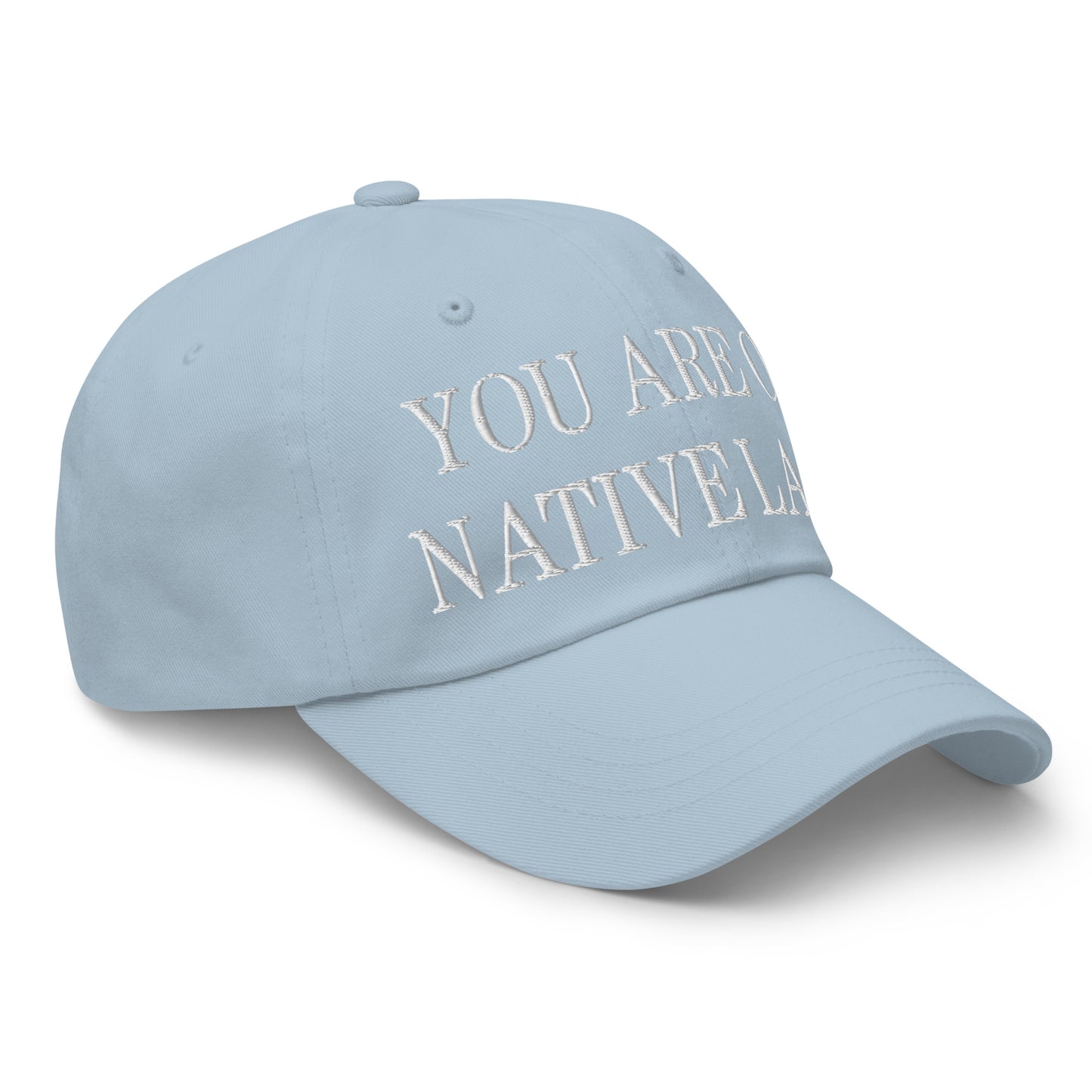 You Are On Native Land Embroidered Dad Hat Light Blue