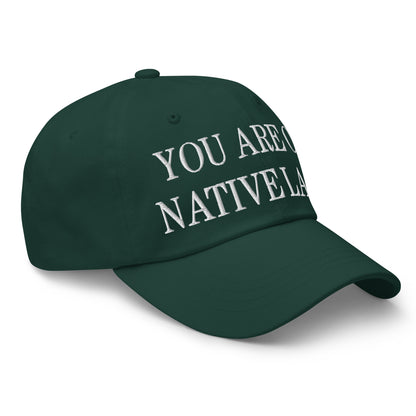 You Are On Native Land Embroidered Dad Hat Spruce