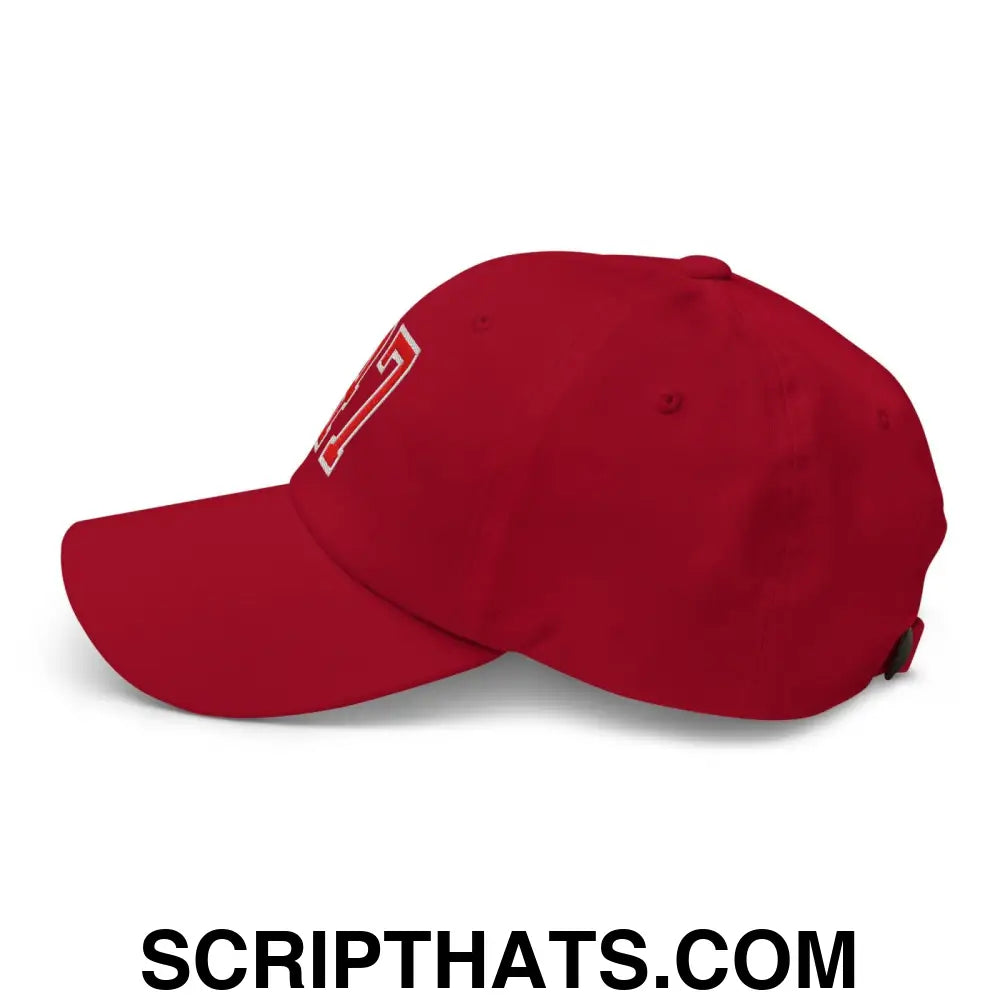 Donald Trump 47 Embroidered Dad Hat Red/White Cranberry