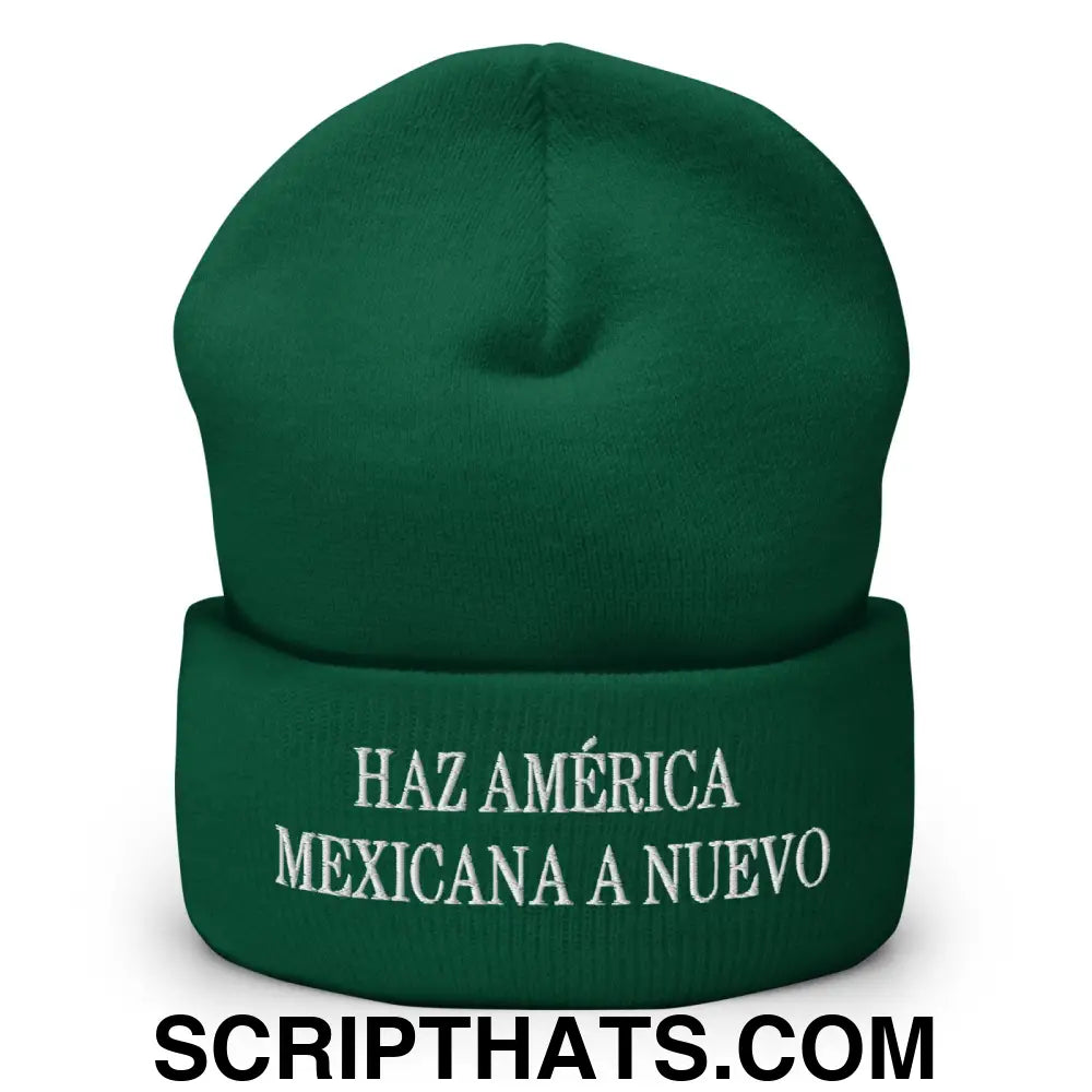 Haz América Mexicana A Nuevo Embroidered Knit Cuffed Beanie Spruce