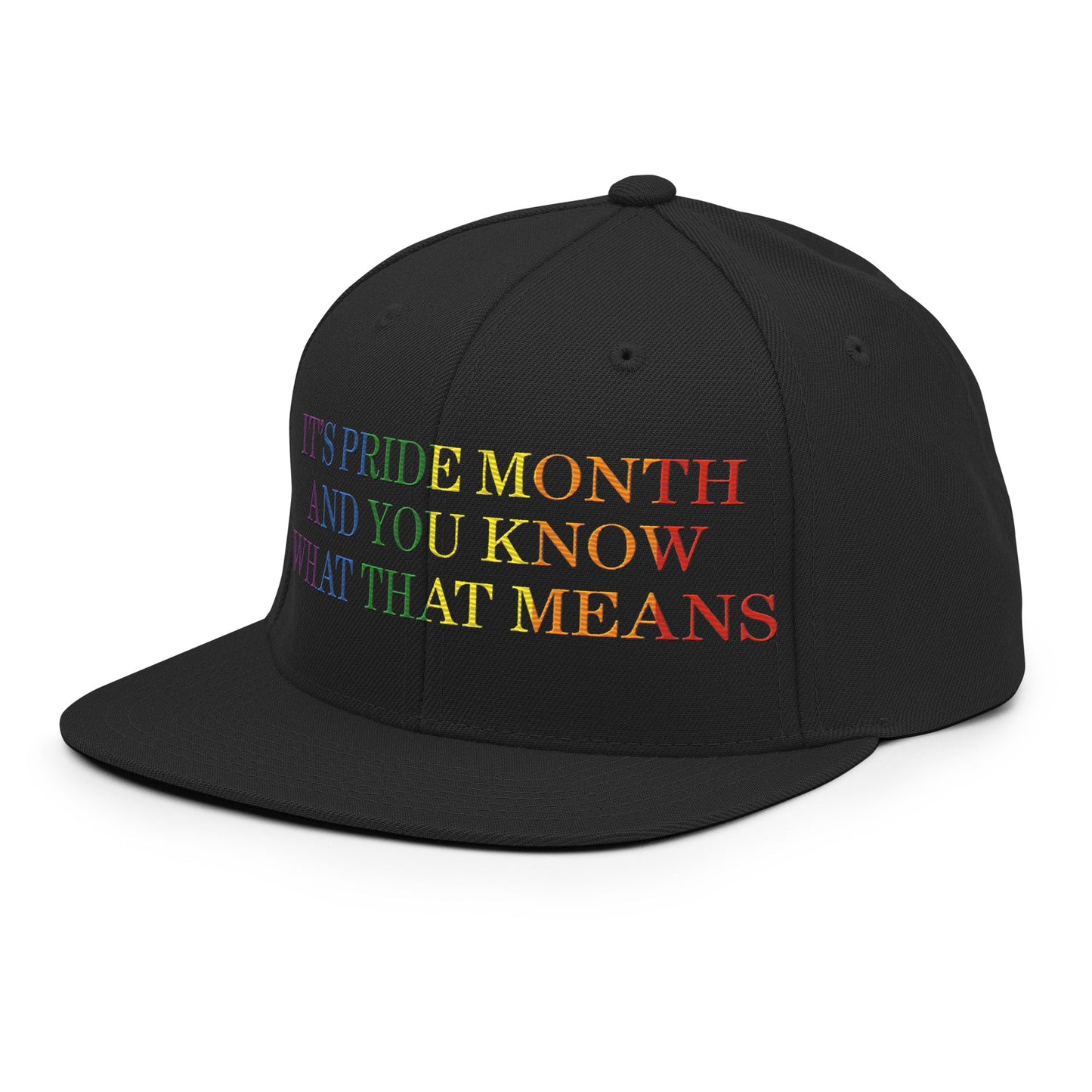 It's Pride Month And You Know What That Means Snapback Hat Black