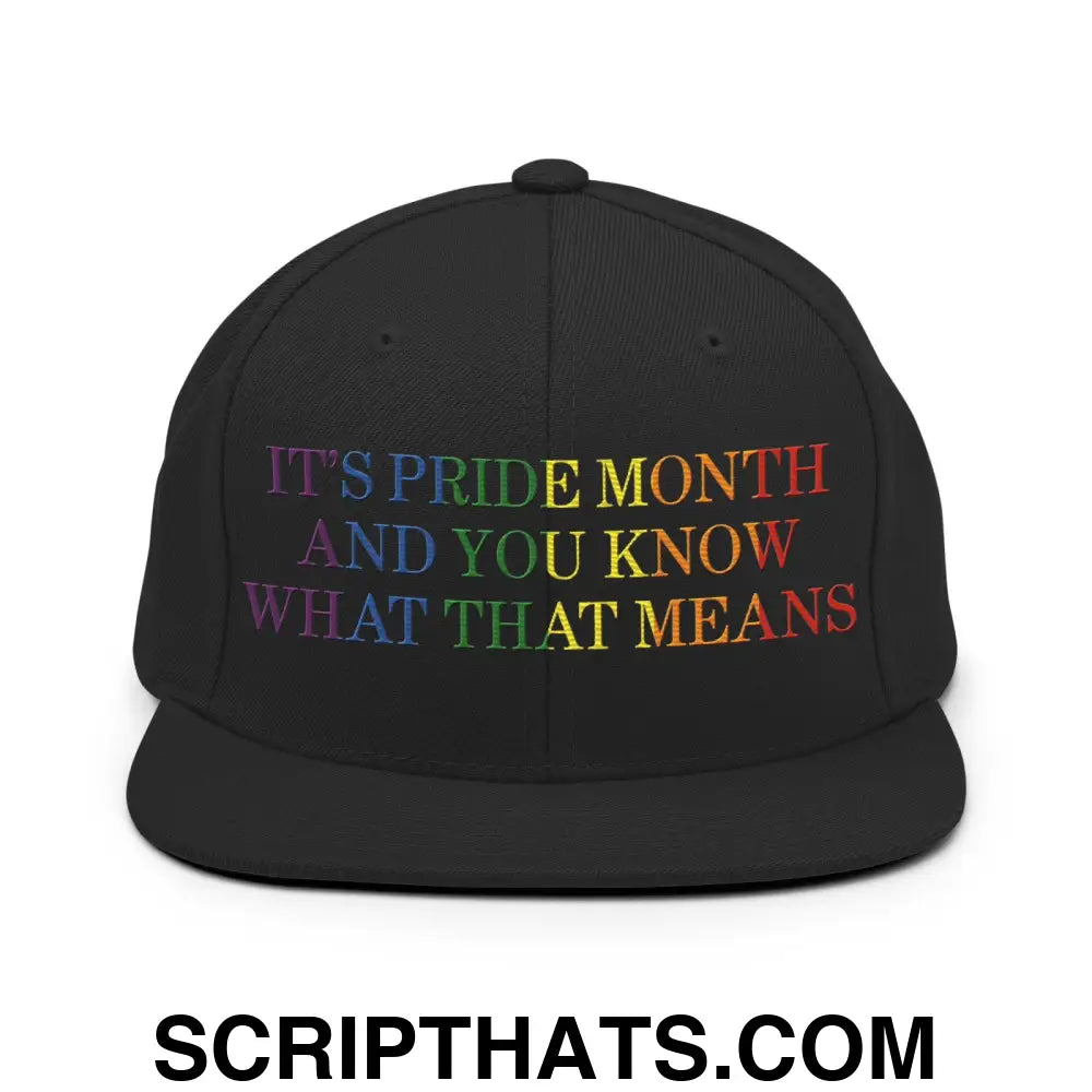 It's Pride Month And You Know What That Means Snapback Hat Black