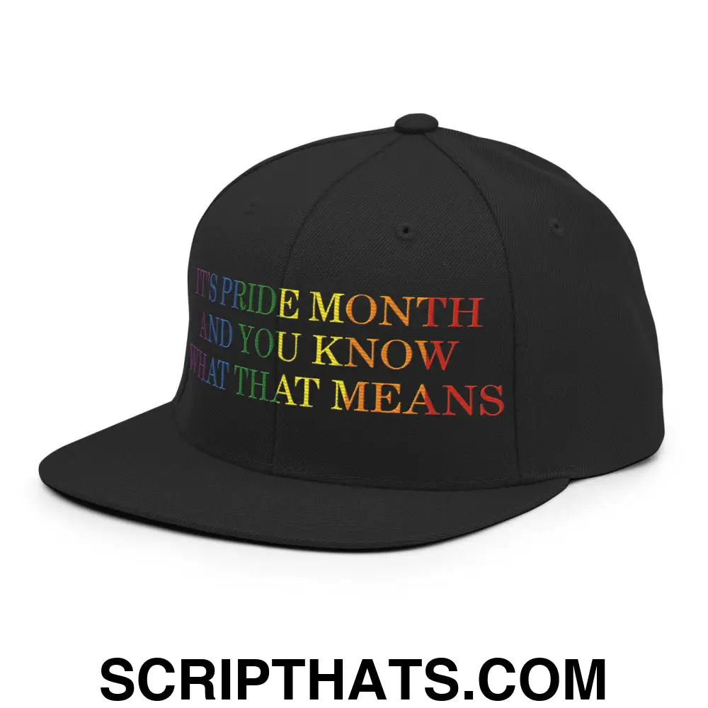 It's Pride Month And You Know What That Means Snapback Hat Black