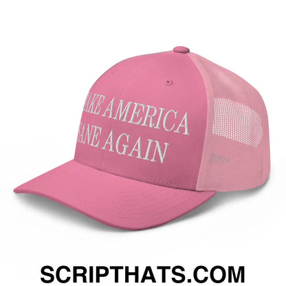 Make America Sane Again Embroidered Mesh Trucker Hat Pink