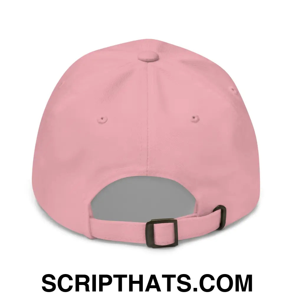 Make Billionaires Pay Taxes Again Embroidered Unstructured Dad Hat Pink