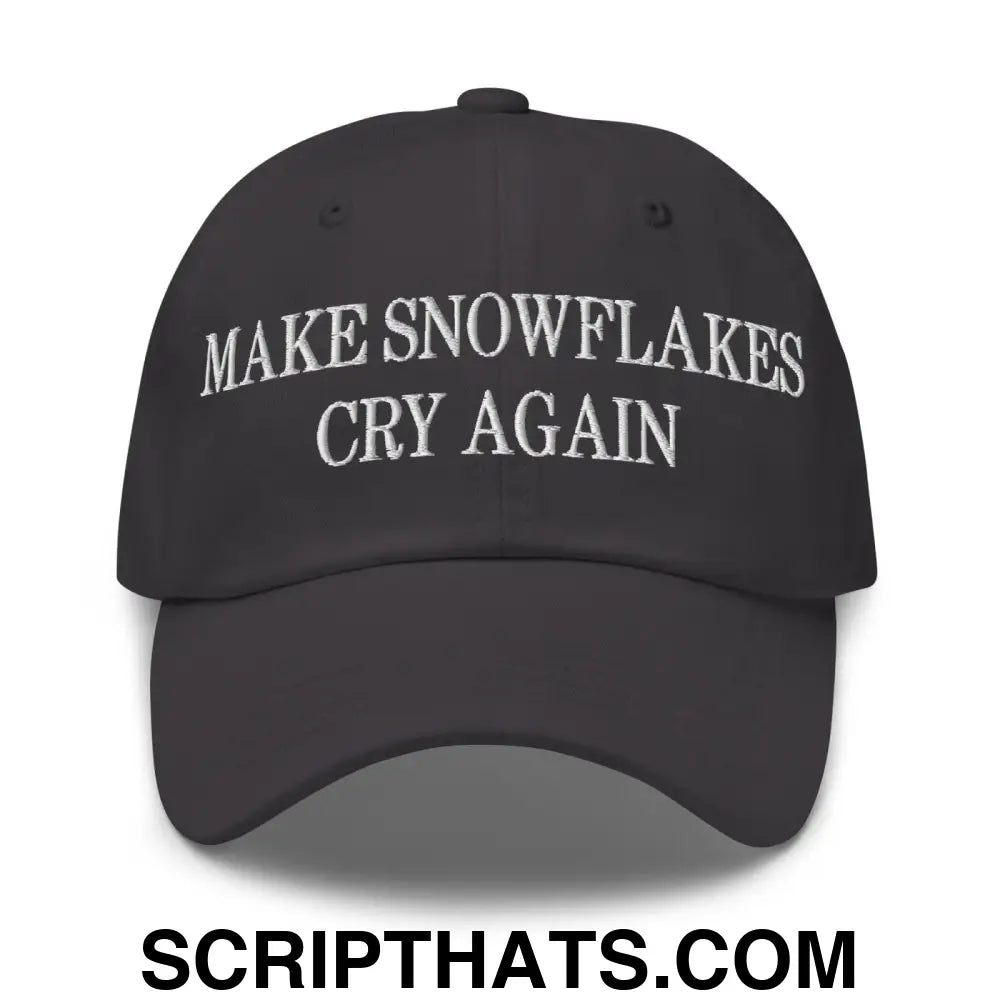 Make Snowflakes Cry Again Embroidered Dad Hat Dark Grey