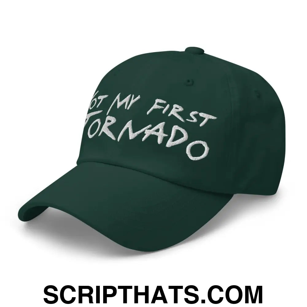 Not My First Tornado Dad Hat Spruce