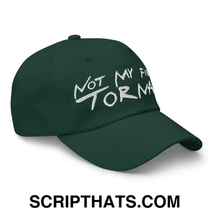 Not My First Tornado Dad Hat Spruce