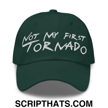 Not My First Tornado Dad Hat Spruce