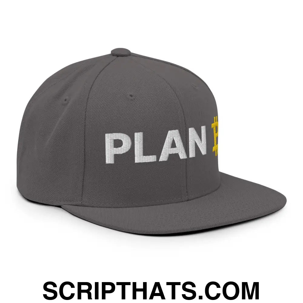 Plan B Bitcoin Snapback Hat Dark Grey