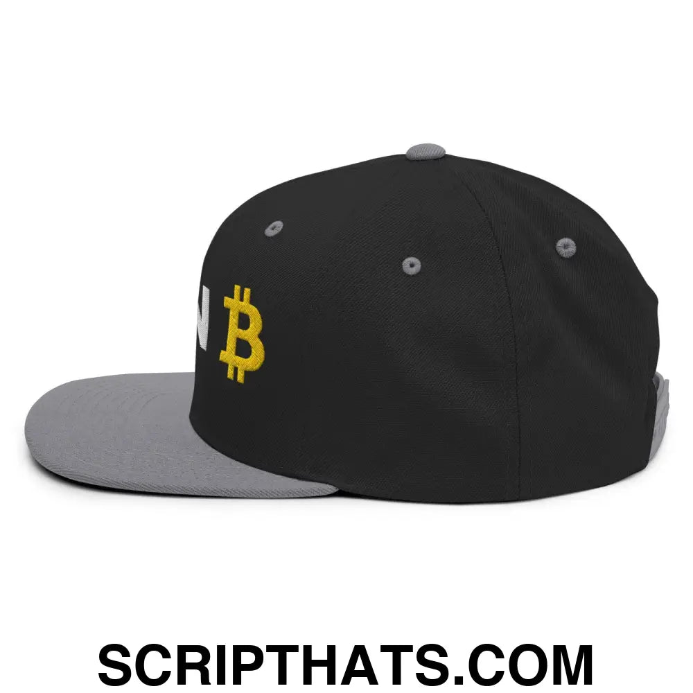 Plan B Bitcoin Snapback Hat Black Silver