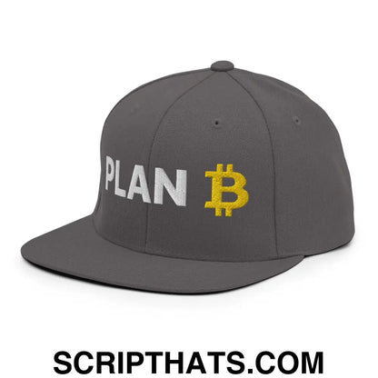 Plan B Bitcoin Snapback Hat Dark Grey