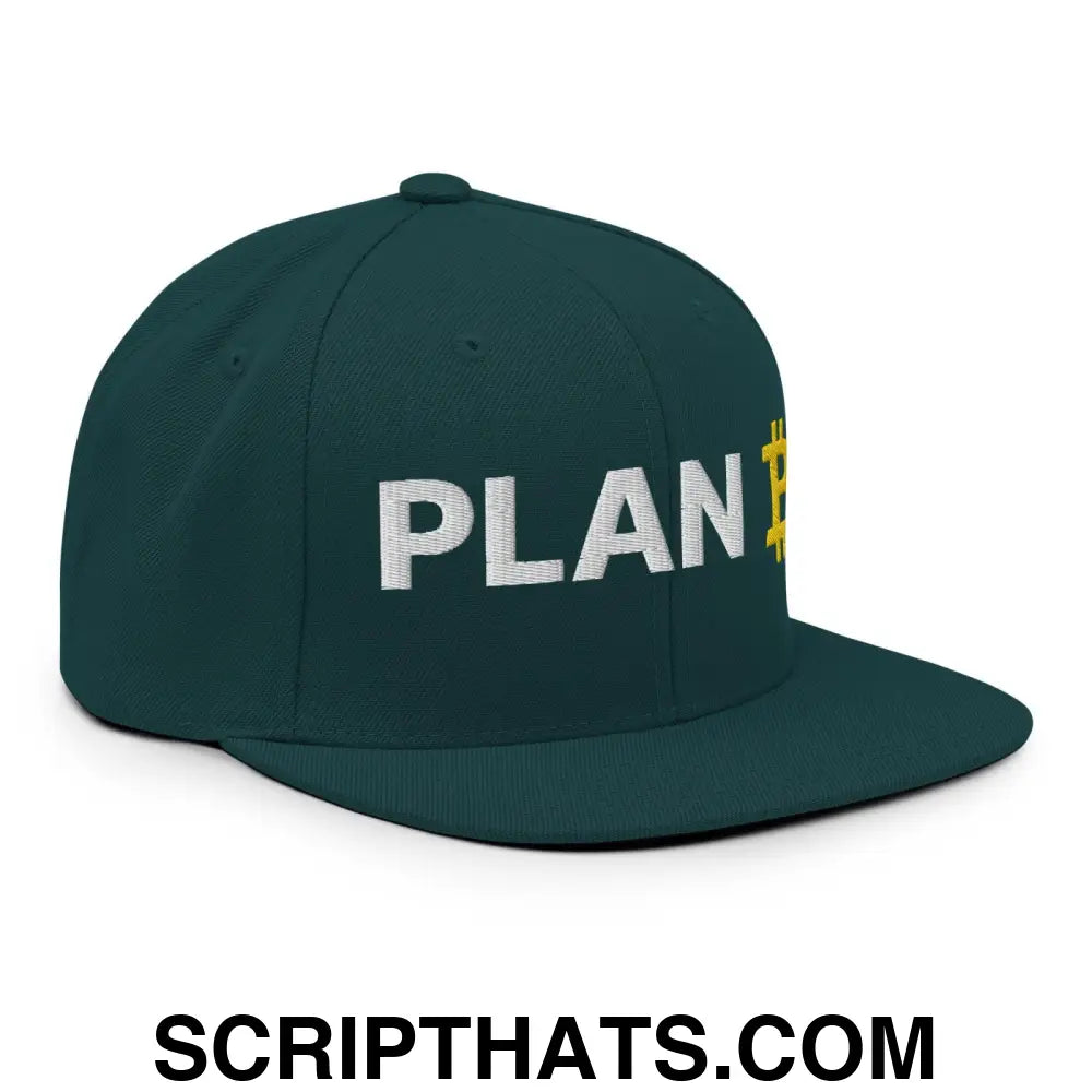 Plan B Bitcoin Snapback Hat Spruce