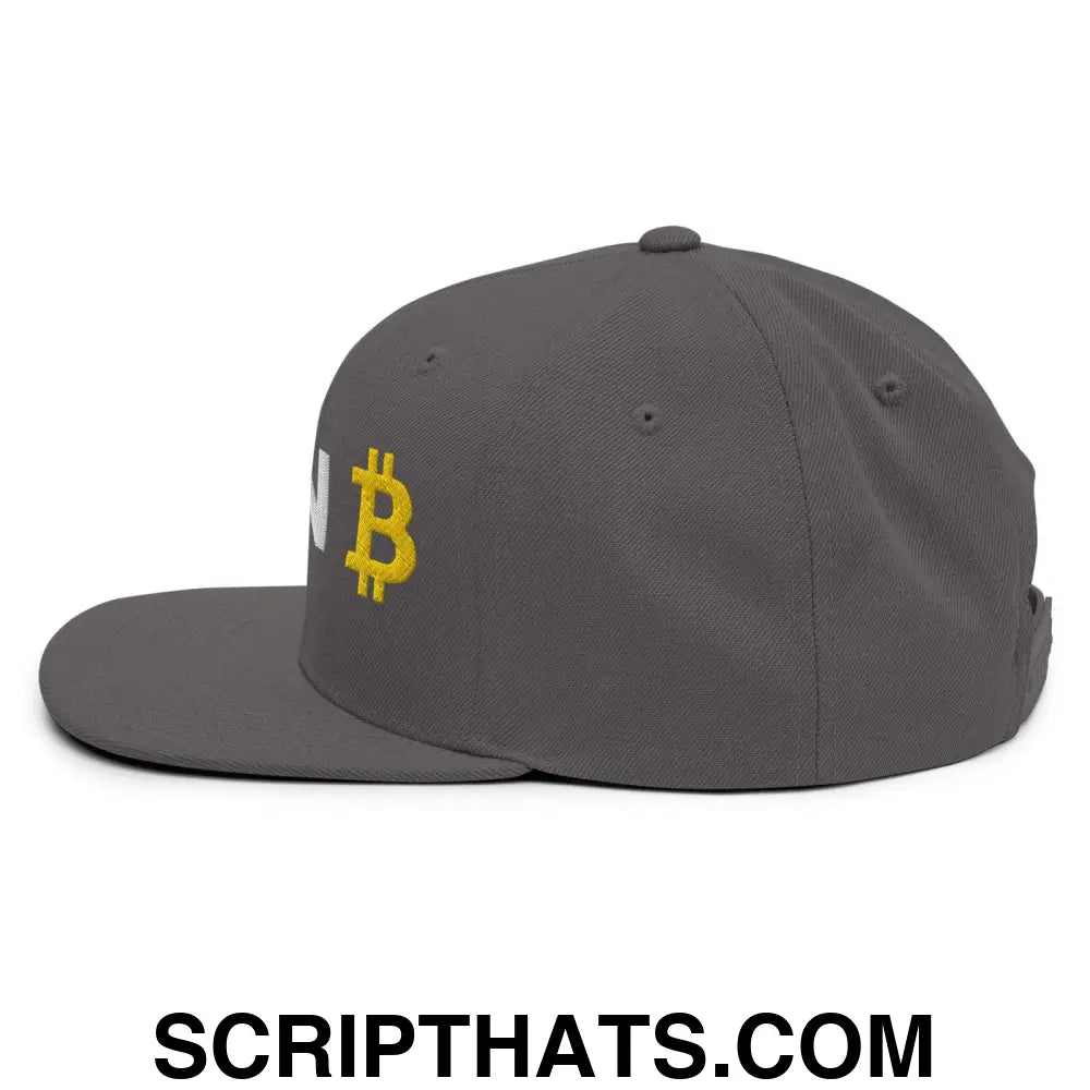 Plan B Bitcoin Snapback Hat Dark Grey