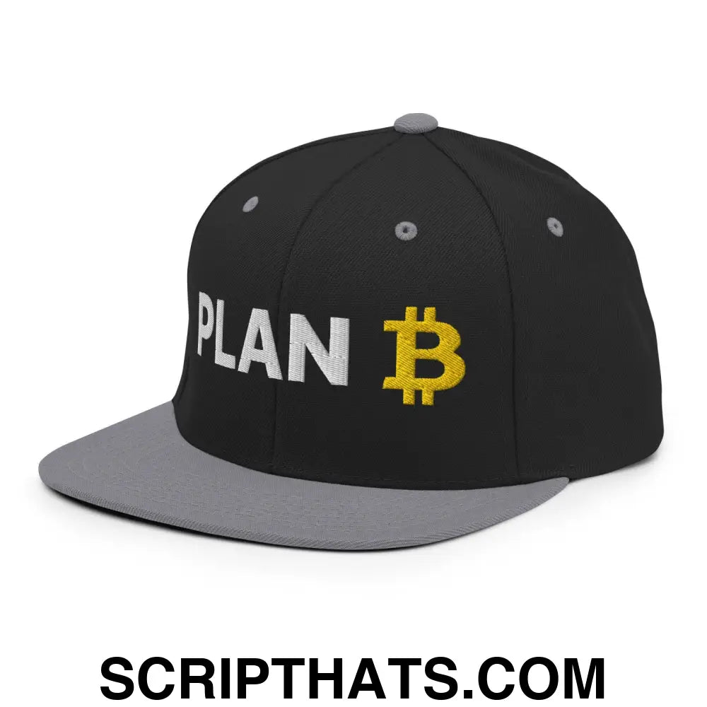 Plan B Bitcoin Snapback Hat Black Silver