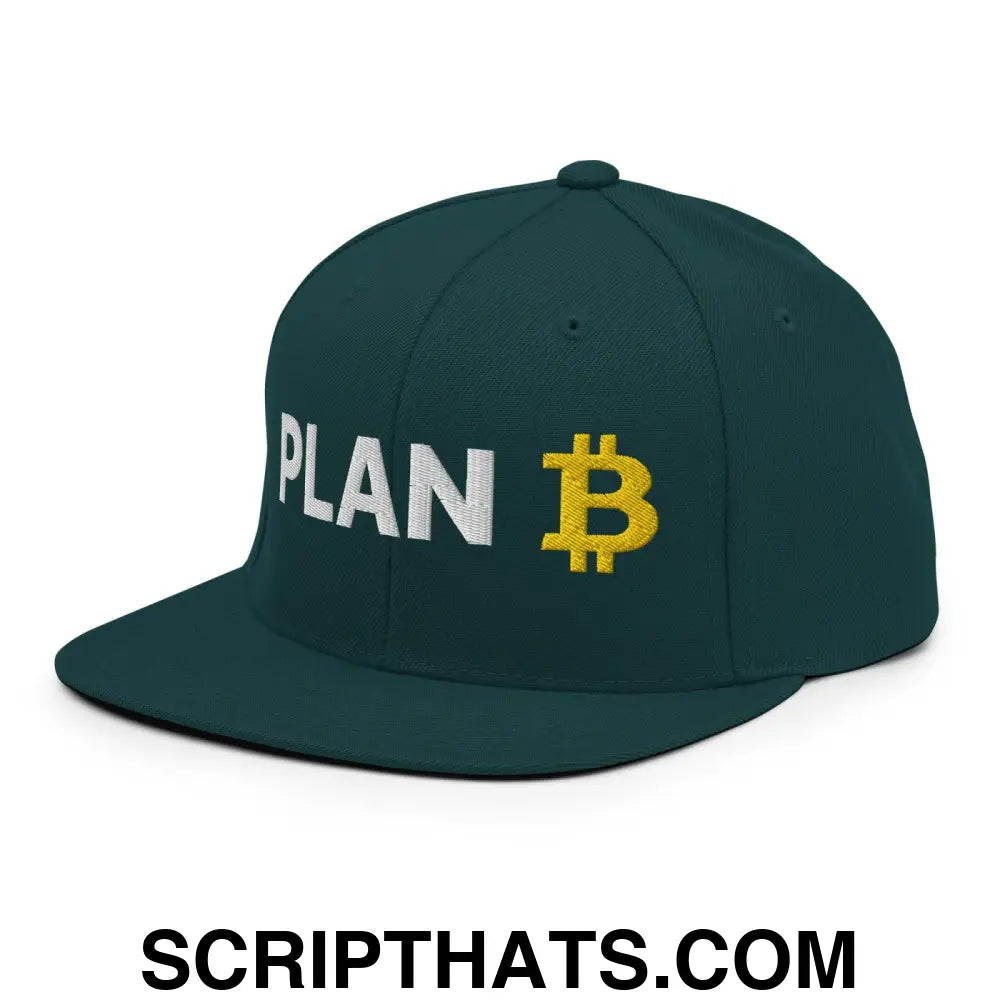 Plan B Bitcoin Snapback Hat Spruce