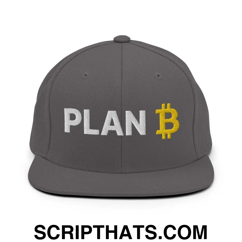 Plan B Bitcoin Snapback Hat Dark Grey