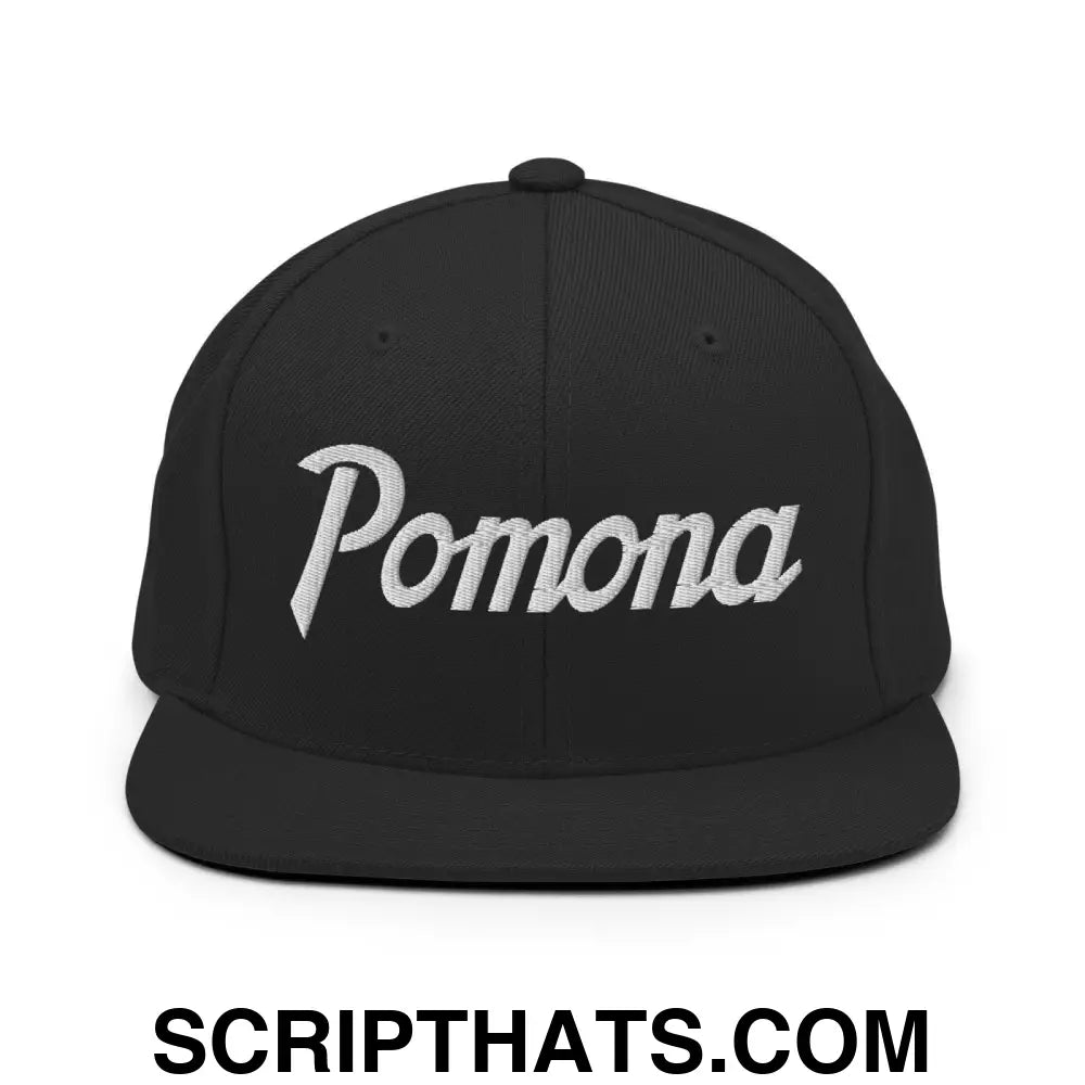 Pomona Snapback Hat Black