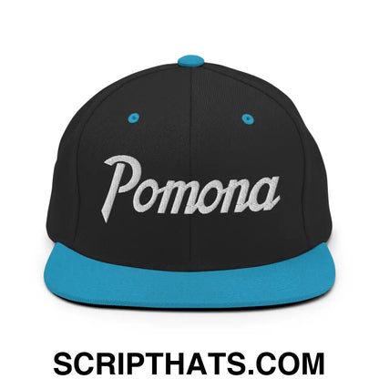 Pomona Snapback Hat Black Teal