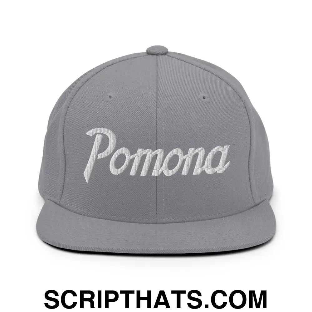 Pomona Snapback Hat Silver