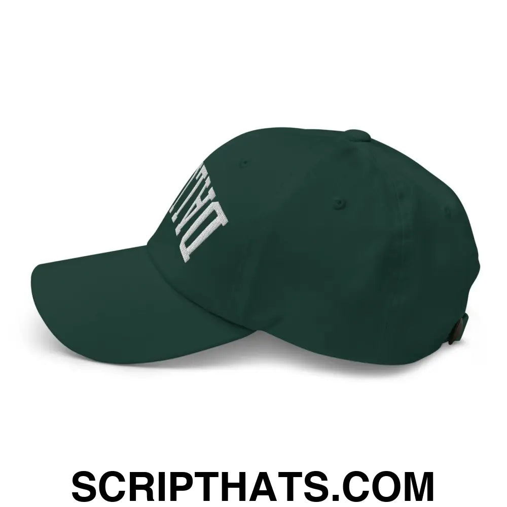 Upside Down Dallas Varsity Letterman Embroidered Dad Hat Spruce