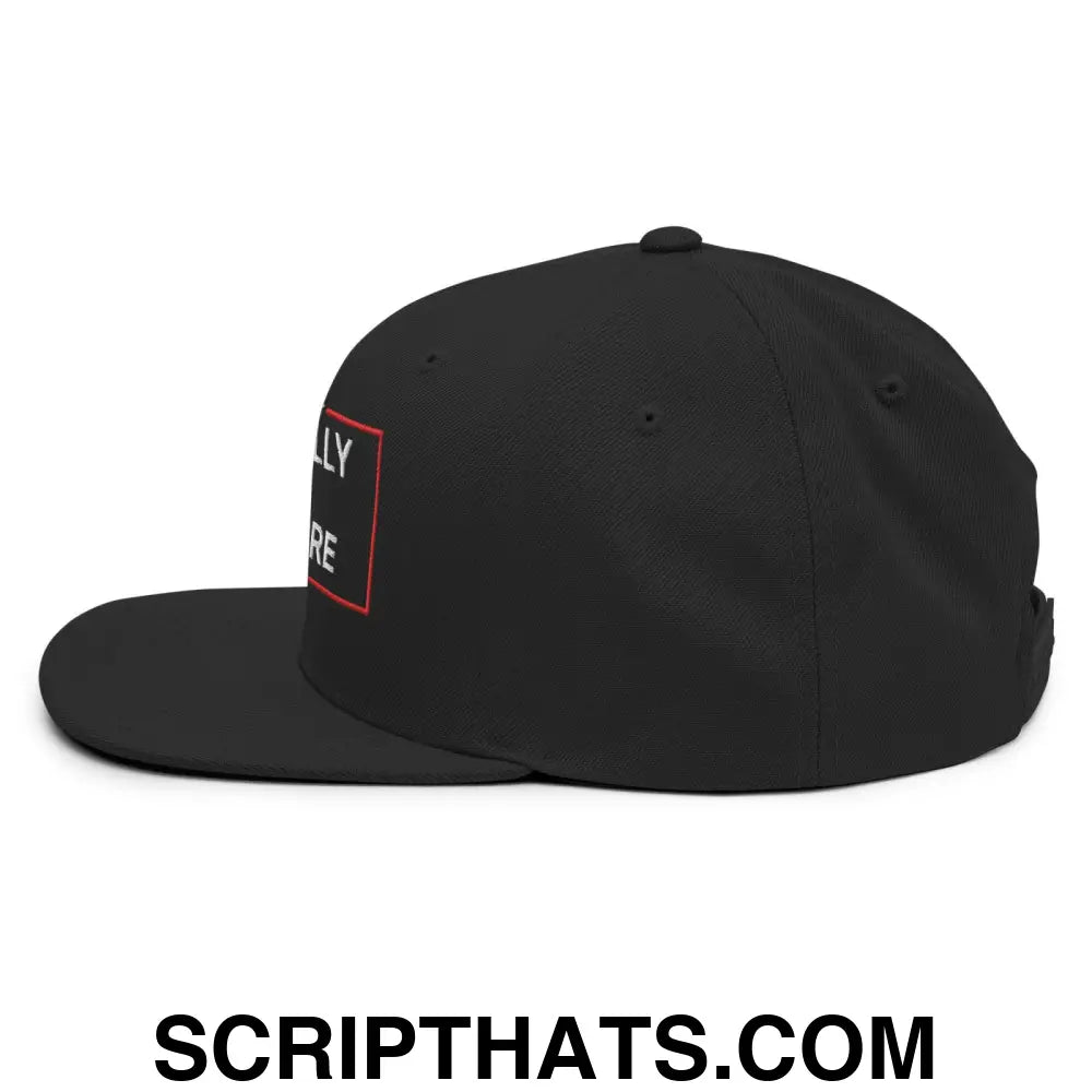 We Finally Beat Medicare 2024 Snapback Hat Black