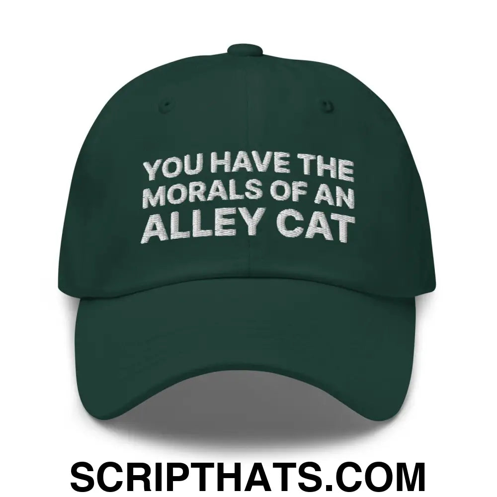 You Have The Morals of An Alley Cat Dad Hat Spruce