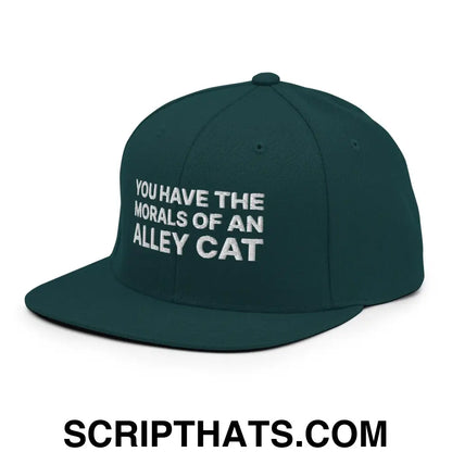 You Have The Morals of An Alley Cat Snapback Hat Spruce