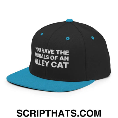 You Have The Morals of An Alley Cat Snapback Hat Black Teal