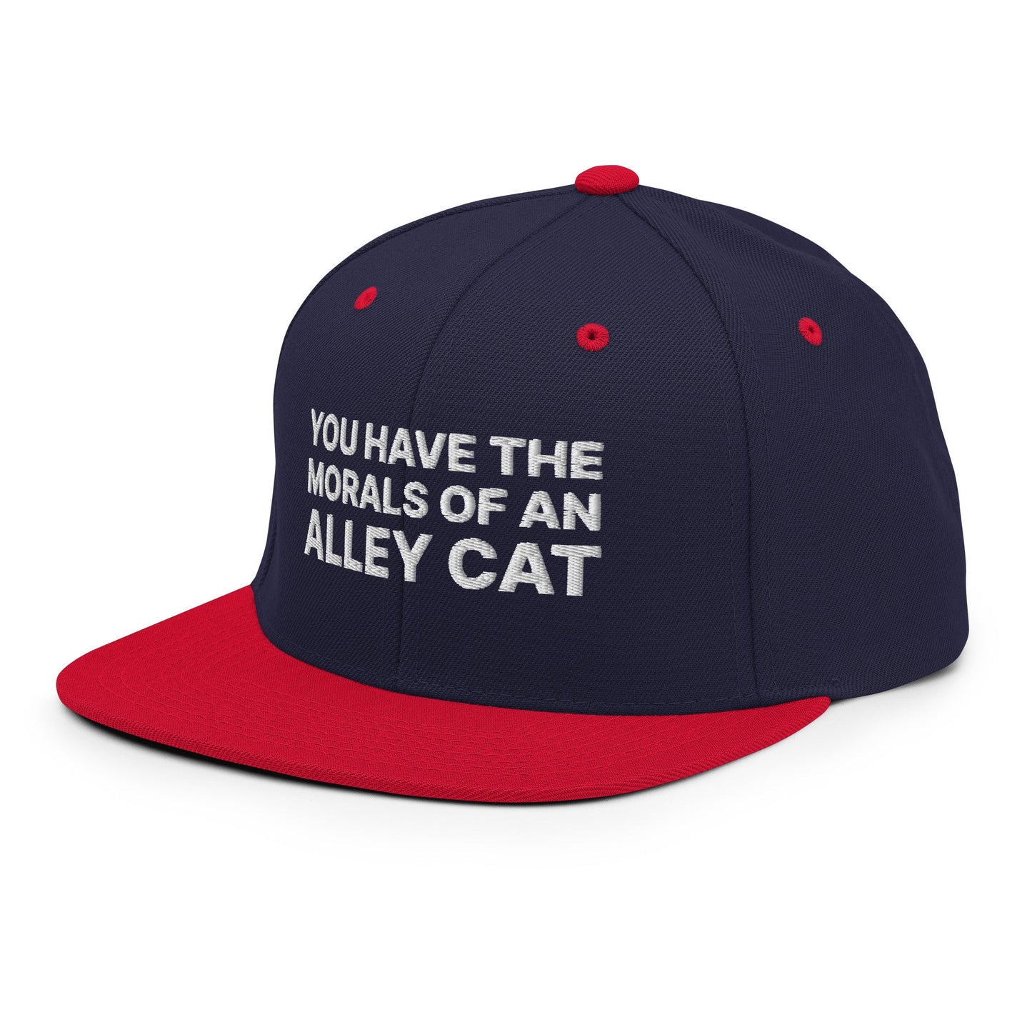 You Have The Morals of An Alley Cat Snapback Hat Navy Red