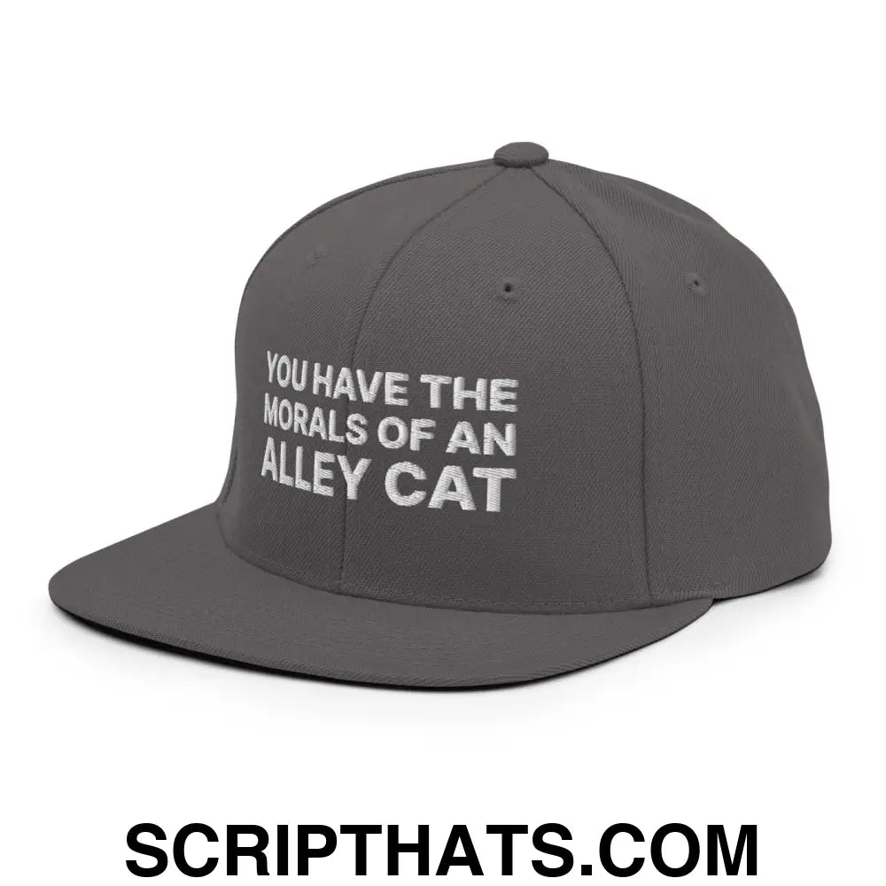 You Have The Morals of An Alley Cat Snapback Hat Dark Grey