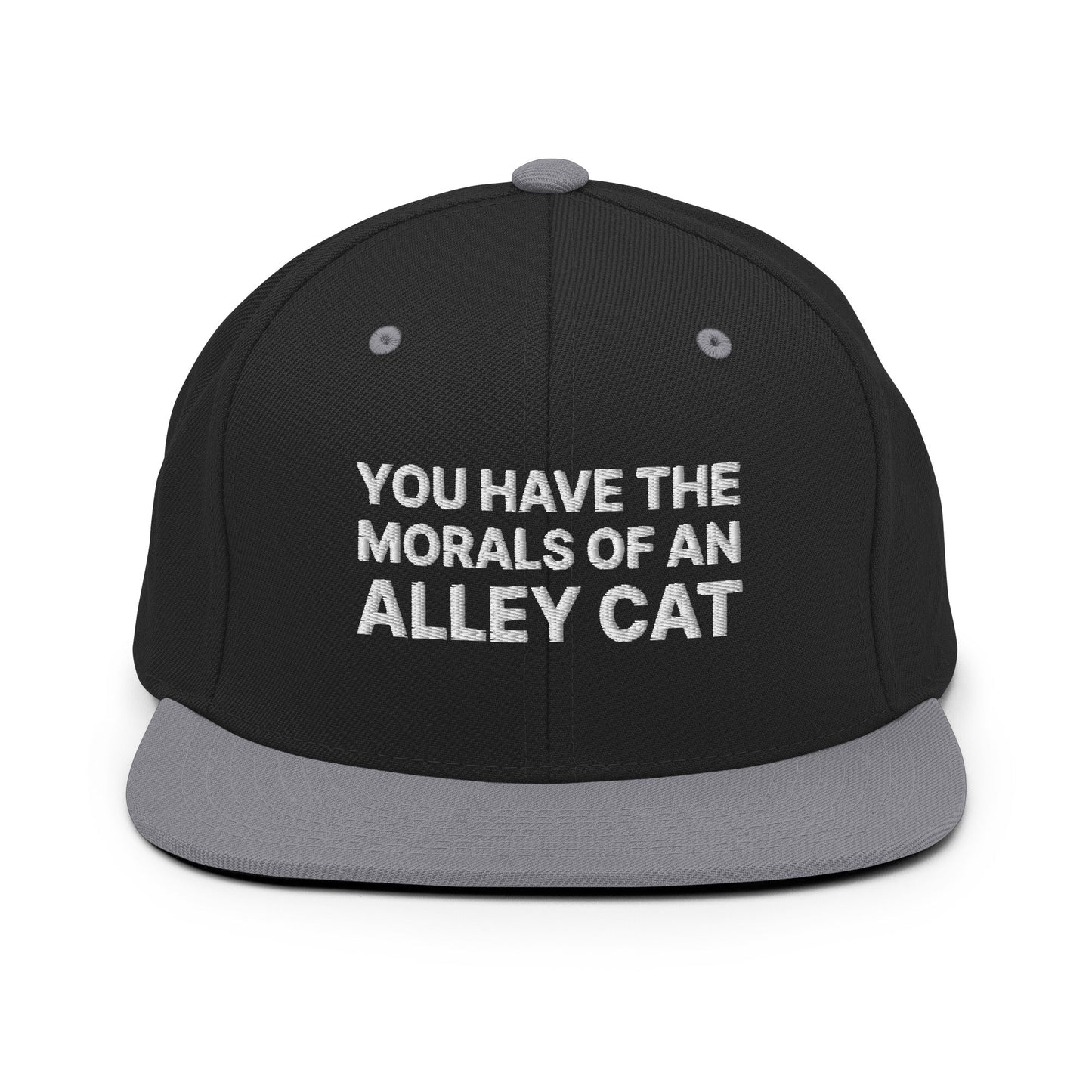 You Have The Morals of An Alley Cat Snapback Hat Black Silver