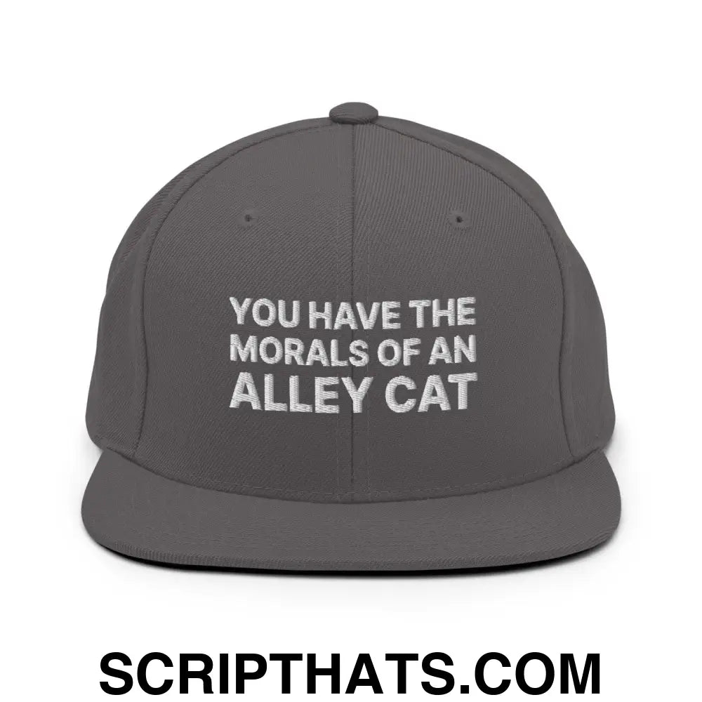 You Have The Morals of An Alley Cat Snapback Hat Dark Grey