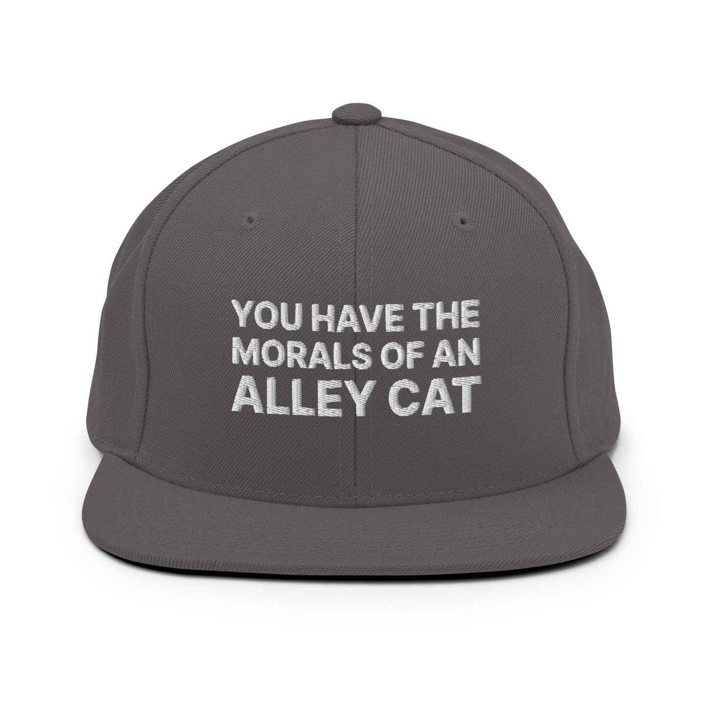 You Have The Morals of An Alley Cat Snapback Hat Dark Grey