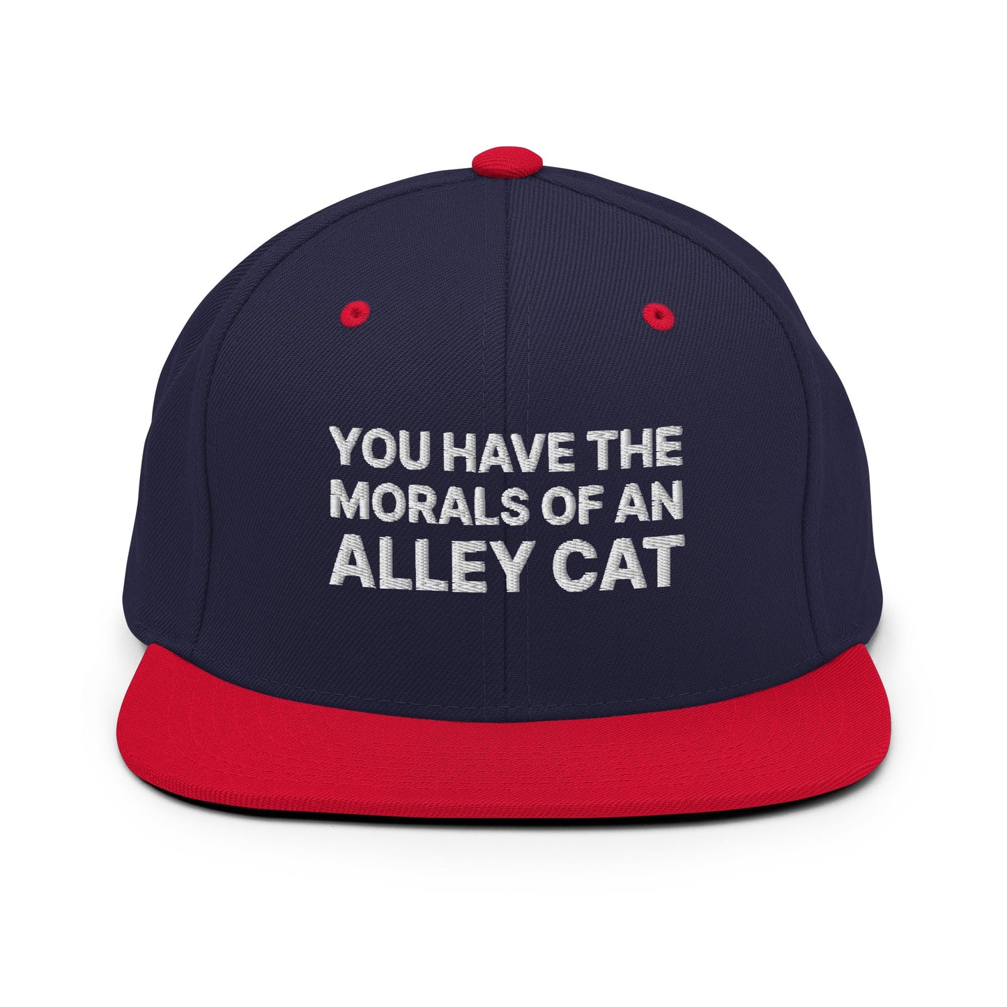 You Have The Morals of An Alley Cat Snapback Hat Navy Red