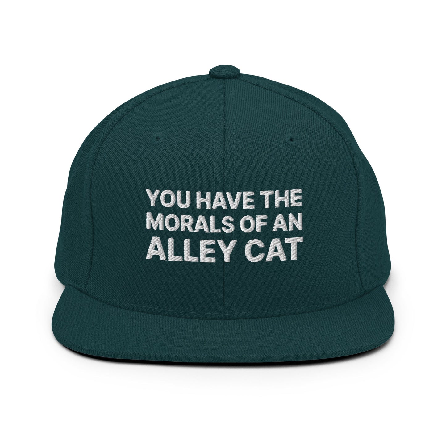 You Have The Morals of An Alley Cat Snapback Hat Spruce